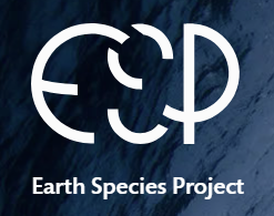 ESP Logo